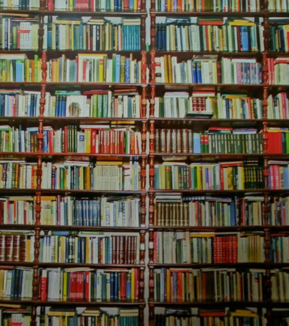 23 10x13 Books Case Library Designer Poly Mailers Envelopes Boutique Custom Bag